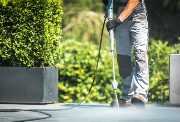 Animal Enclosure Cleaning in Trenton, MO