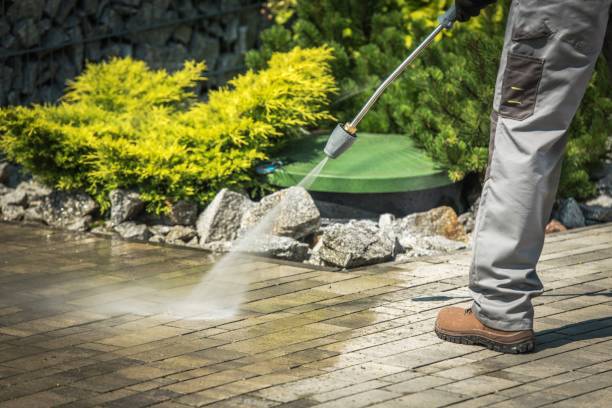 Best Roof Washing  in Trenton, MO